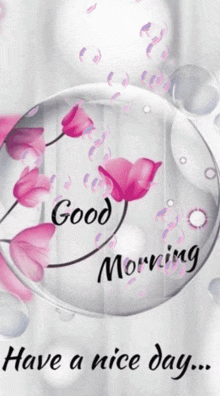 good-morning-have-a-nice-day.gif