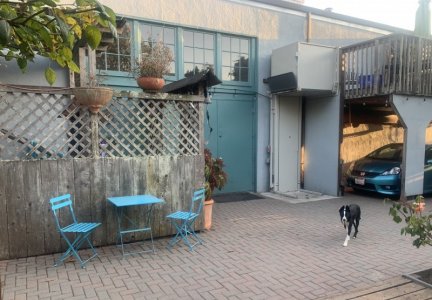 1697638762195.jpeg 1697638762195.jpeg