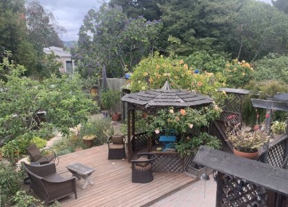 1697639860307.jpeg 1697639860307.jpeg