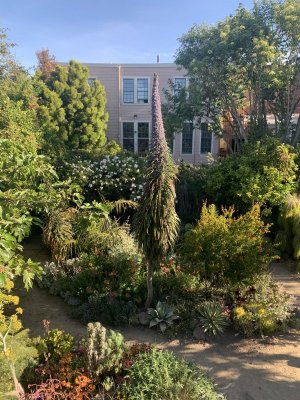 1697639971129.jpeg 1697639971129.jpeg