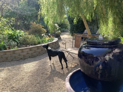 1697640122824.jpeg 1697640122824.jpeg