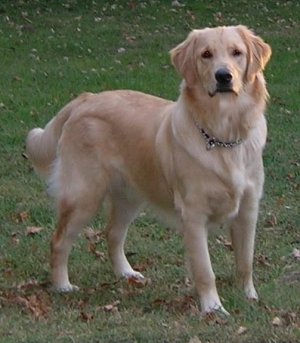Kody2.jpg