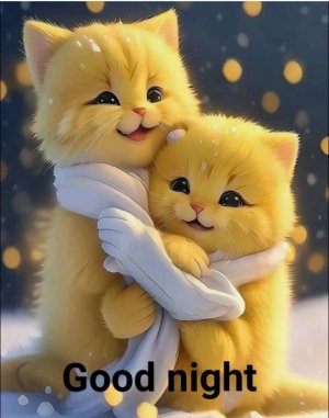 catsF.jpg
