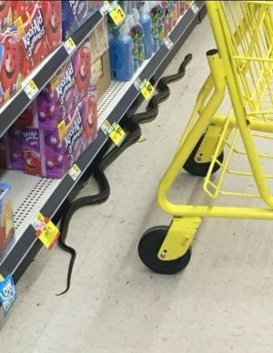 IMG_4578.jpeg