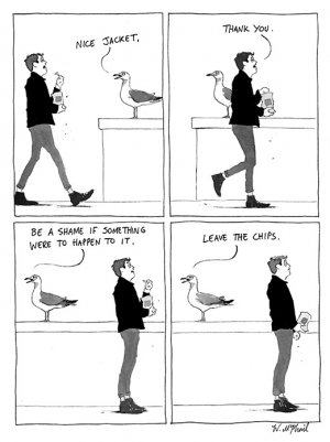 seagull joke.jpg