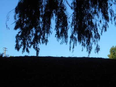 DSCN0318.JPG