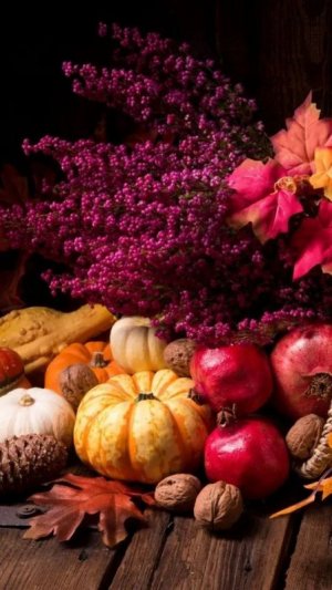 5d797d437ccb0969f4e0c8316a19a4ed[1].jpg