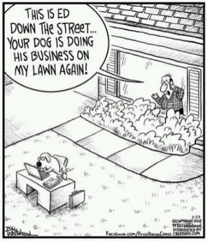 dog business.jpg