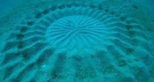 IMG_0097.jpeg