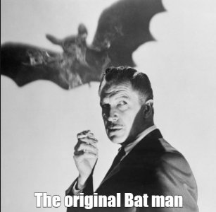 bat.JPG