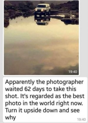 IMG_4155.jpeg