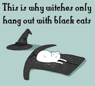 withblackcats.jpg
