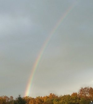 rainbow Oct 21 2023.jpg