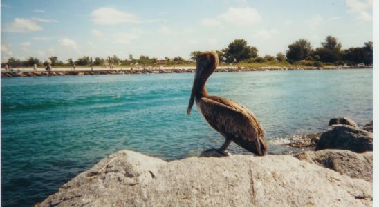 020512 Venice Inlet 03 (1).jpg