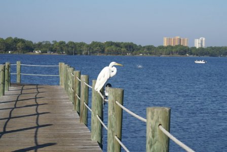 102310 Panama City 31.JPG