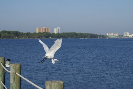 102310 Panama City 33.JPG