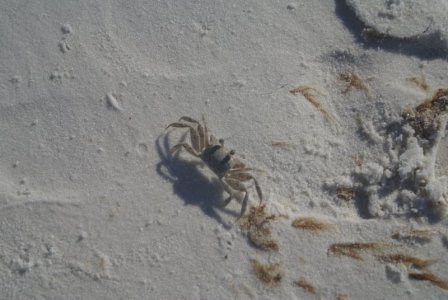 102310 Panama City 54.JPG