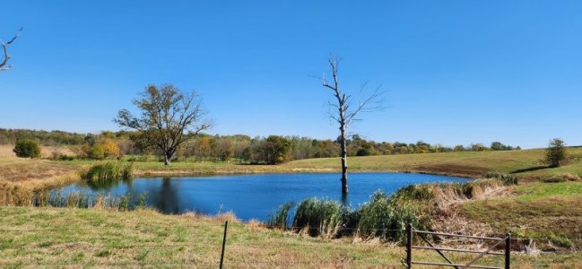 Blue Pond.jpg