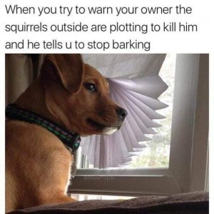 FB_IMG_1698031175720.jpg