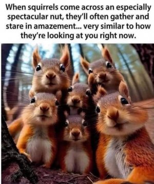FB_IMG_1698028638632.jpg