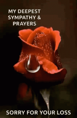 IMG_2781.gif