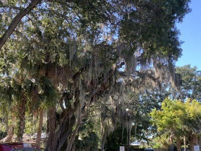 IMG_2178.jpeg