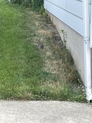IMG_0729.jpeg
