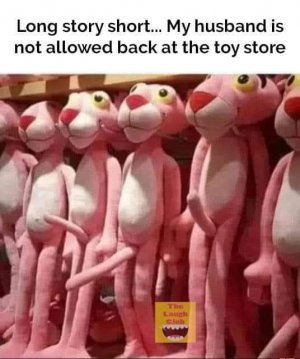 FB_IMG_1698065071851.jpg