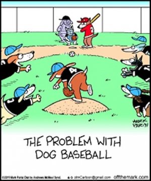 Dog Baseball(1).jpg Dog Baseball(1).jpg