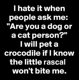 FB_IMG_1698064725704.jpg