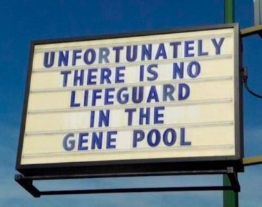 genepool.jpg