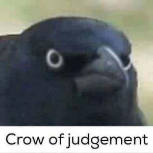 5.jpeg