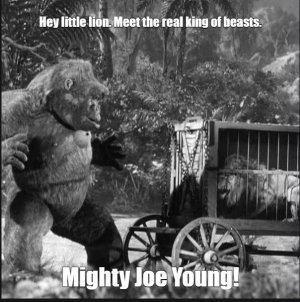 joe.JPG