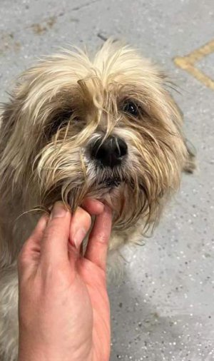 IMG_0477.jpeg IMG_0477.jpeg