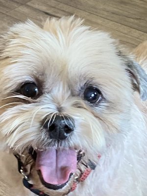 IMG_0473.jpeg IMG_0473.jpeg