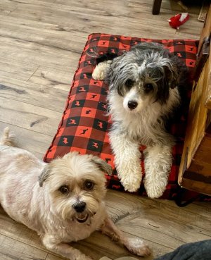 IMG_0425.jpeg IMG_0425.jpeg