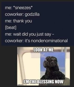 7.jpeg