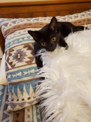 20201231_072731.jpg