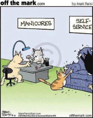 catmanicure.jpg