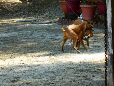 DSCN4136.JPG