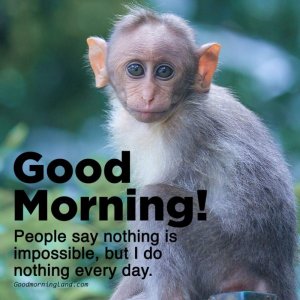 IMG_5120.jpeg