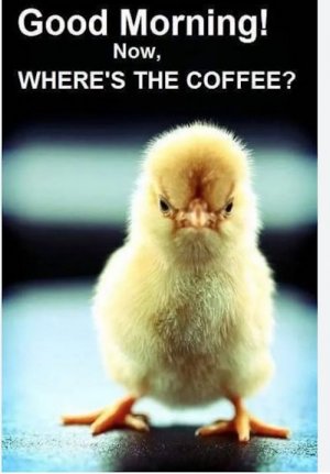 C0ffee bird.jpg