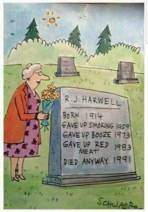 FB_IMG_1698289551293.jpg