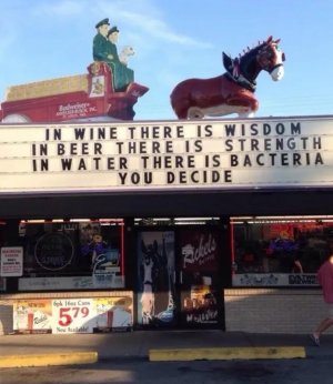 IMG_5118.jpeg