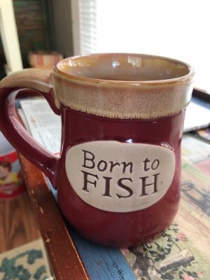 cup2.jpg