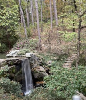 IMG_0865.jpeg