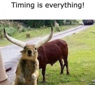 IMG_5149.jpeg