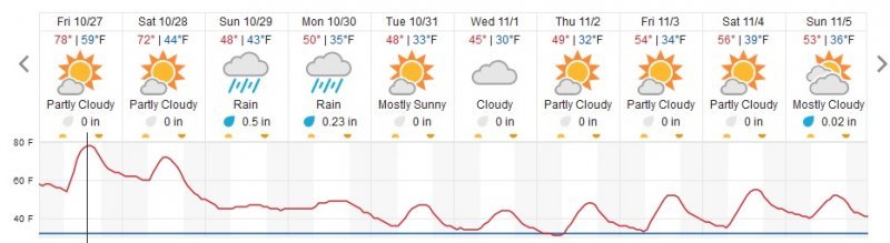 temp.jpg