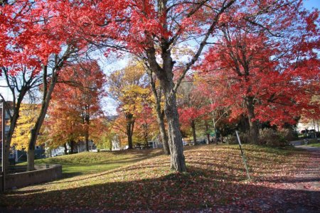 falltime.JPG