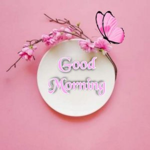 0f38a3dc6bb4b107aa64ad0d353ae7e6.jpg
